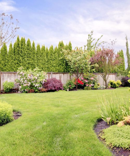 landscaping