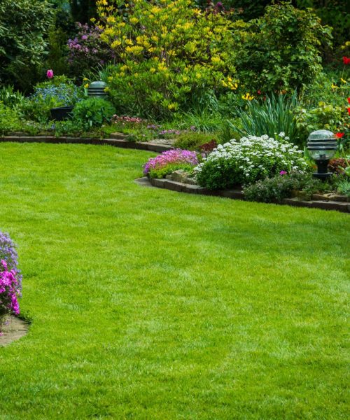 landscaping2